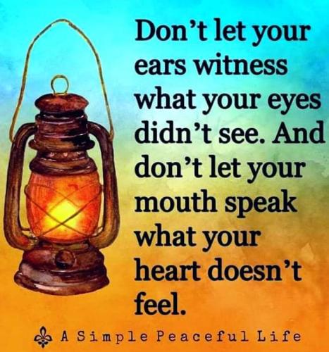 FB_IMG_1602767396942