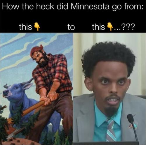 minnesota02