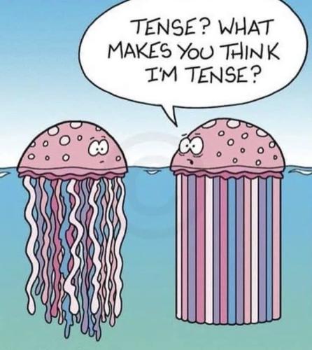 FB_IMG_1760795249837