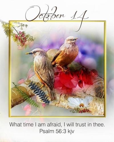 564251597_18028589591743683_1717518971192887535_n