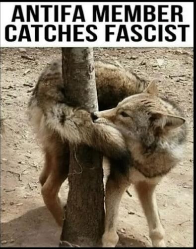 Screenshot_20251014-044122_YouTube