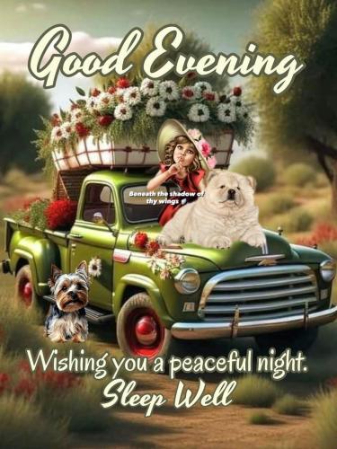 571492188_18029995997743683_1494971138379686713_n