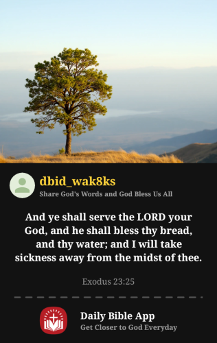 2025-10-051759703436846