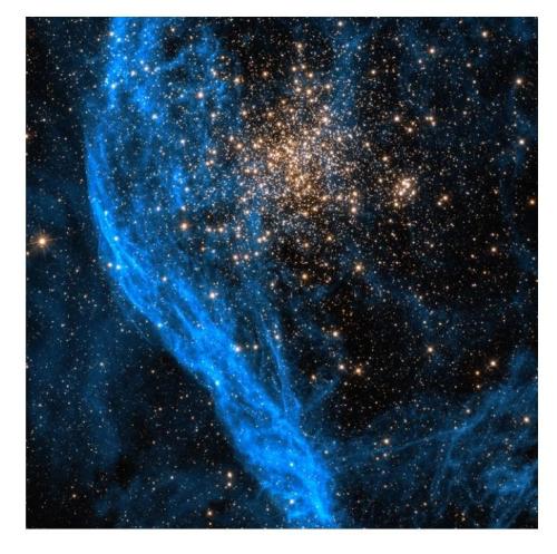 8b466cf1-5f45-4efe-802b-c5ac9307e1b6