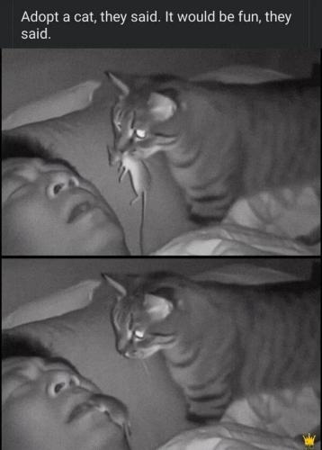 5f5dc67e-089d-49bf-bde1-f6cef9e92d73