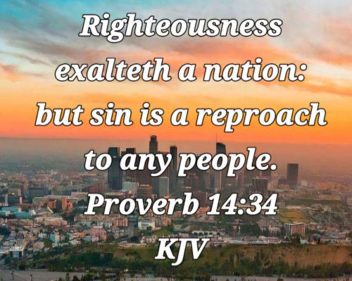 c4562556-1aee-4a01-825b-26c5d742b225