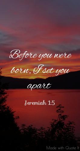 74d3d67ac93c453f98e94c9f44698b94-2745934135-1