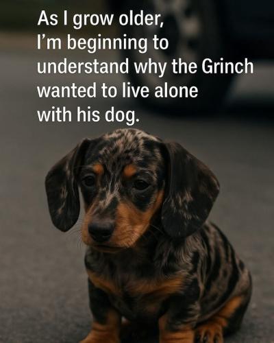 d06b016dfec5f28209a217f768f13238