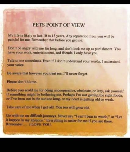 FB_IMG_1759239030652