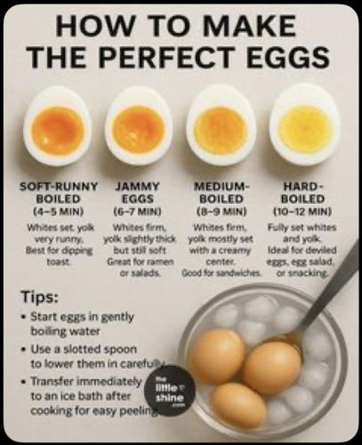 3f766d829e3636395b165a47d8392d76