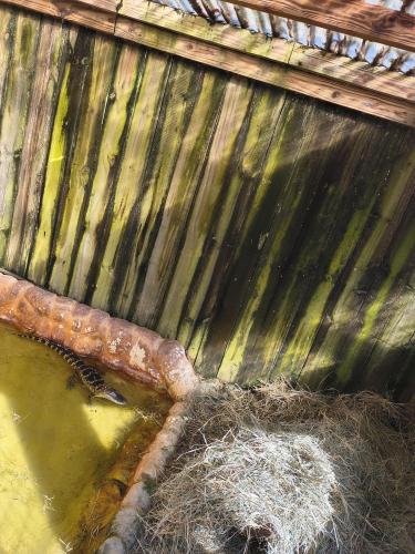 IMG_20251021_095254769_HDR