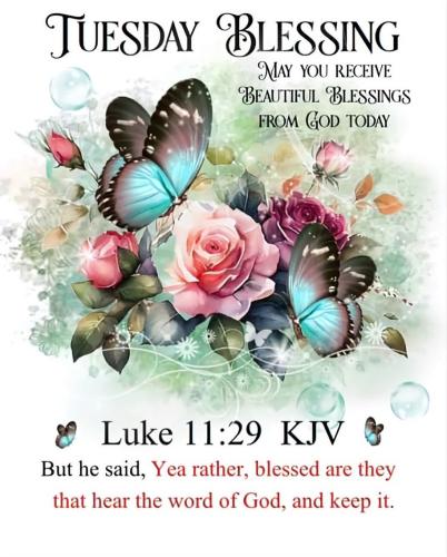 561169811_18027596432743683_1920264943174795177_n