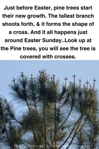 f6c5291b31c09a5bdbf72a027a0f212f