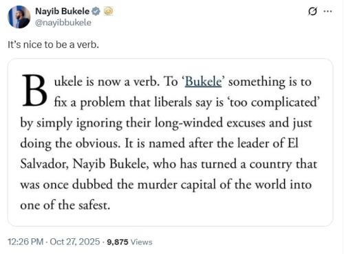 IMG_20251027_130002_303