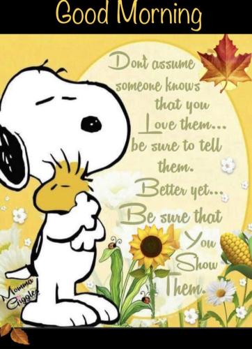 f121bc3b7f8ddab64b5d2621d714e232