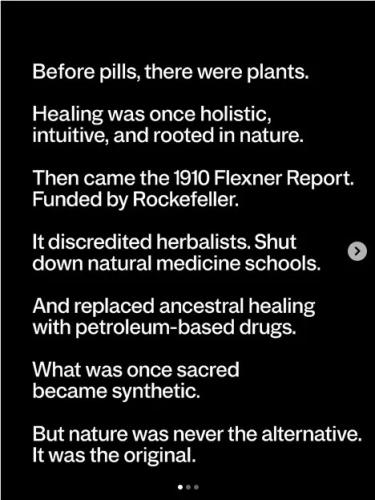 nature-was-never-alternative