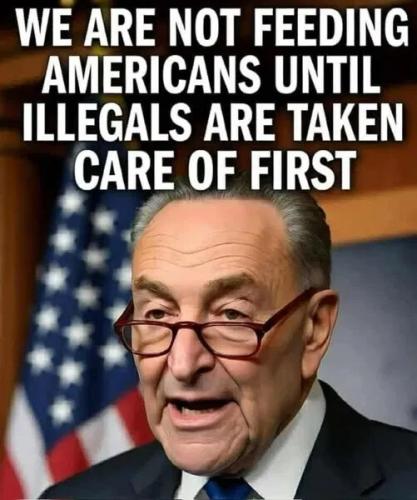 not-feeding-americans