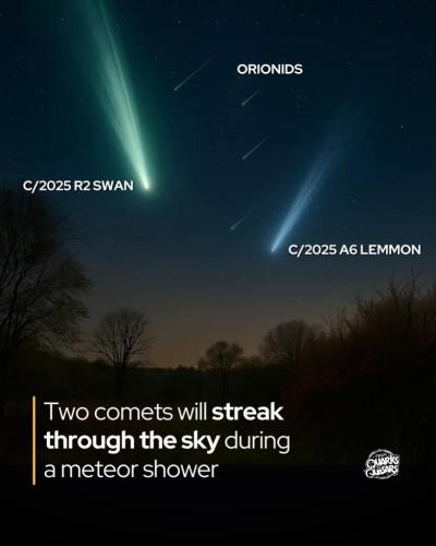 5481cf00-928e-4e9d-b691-68f9f340aa35