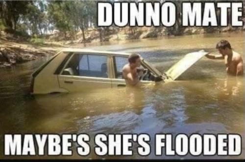 Screenshot_20251023_071647_Gallery