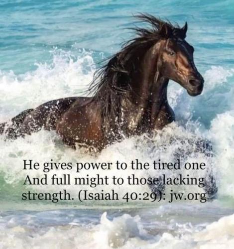 5e8299925cffa15e7a8a062221f934a3