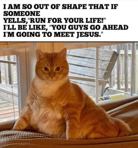 Screenshot_20251016_144420_Gallery