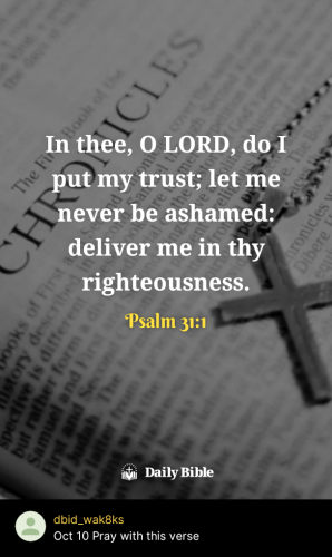 2025-10-101760151739100