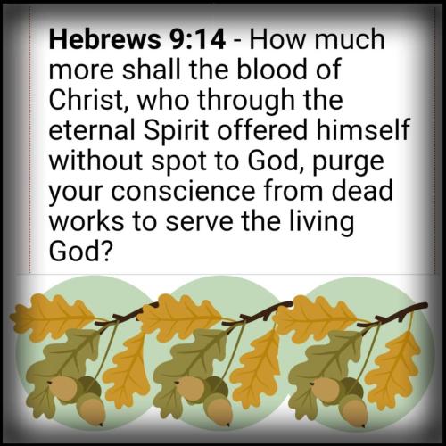 FB_IMG_1601982503595