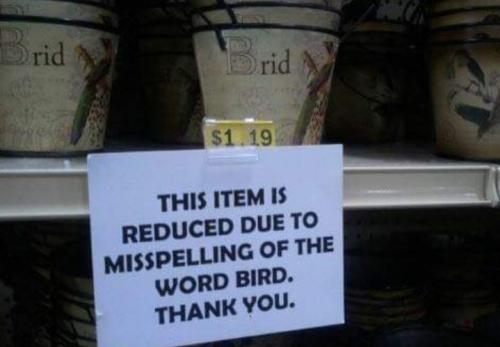 Screenshot_20251008_063840_Gallery