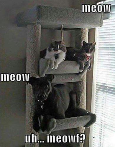 81b0e4dd8ee07787baf161c87f4aff6f