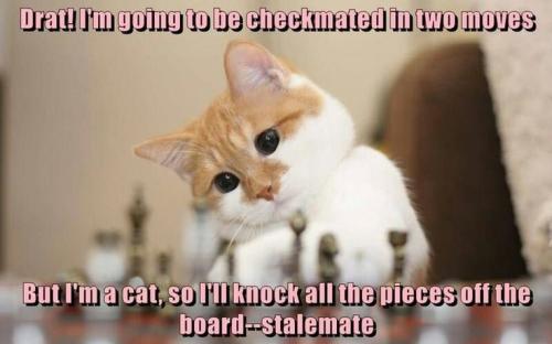 2eeeed479b61e10882e654498a745d61