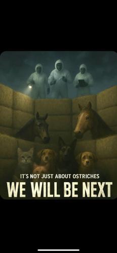 08:55:41 GMT-0500 (CDT)