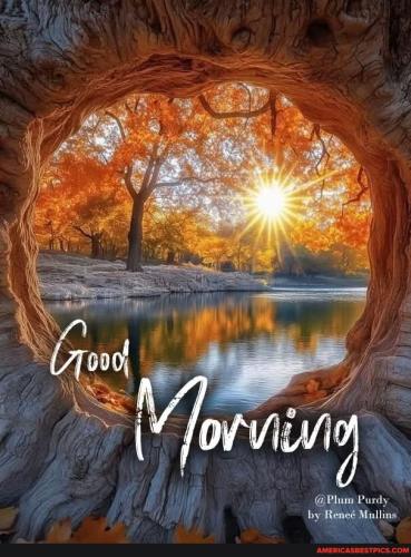 02046368946886fc6cf19a8b46da9d682cadf5a3f9e8e34e029845f0b24249b1_1