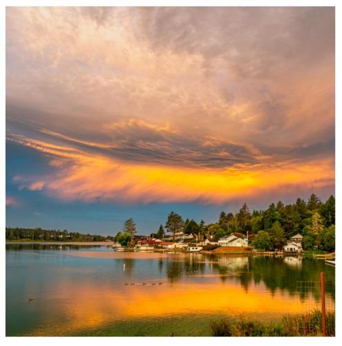 a950d7e3-1f13-481d-86ee-0b90cb15af8a