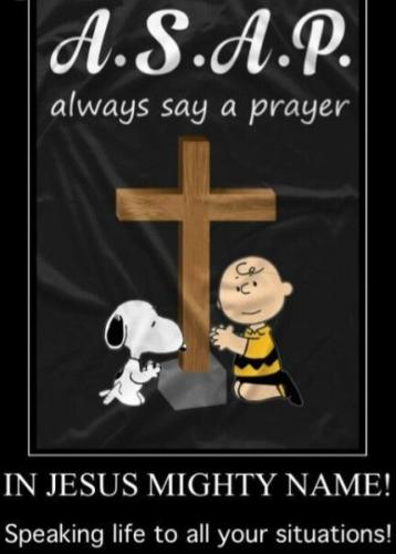 f346d2f19c7030def25b26711a6c727b