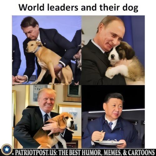 01K7JX1Z28K976Q19099SN9H6V