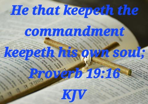 a6ead1b2-c733-4954-8e3c-fe0f0b0608f1