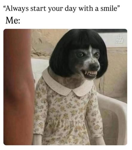 main-qimg-614ceeeb0f4c848a9db0ffebbf35be27