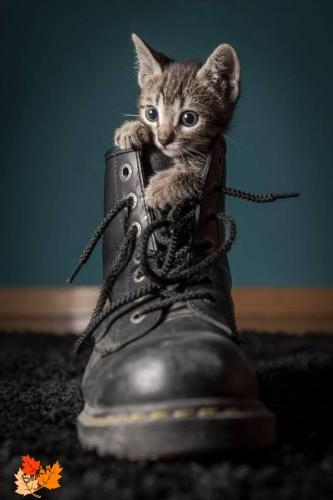 FB_IMG_1566517995697