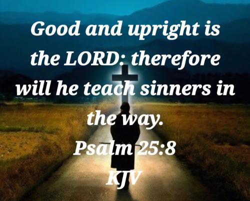 83241918-cbf8-474d-8bdd-ba4d660da38e