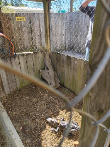 IMG_20251021_095321952_HDR