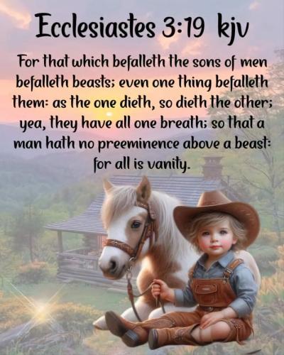 75320bdafcddfe882d1c26db2952df47