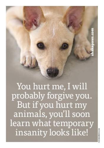 2ff78cb30a81cfdfd1b72706384c399b