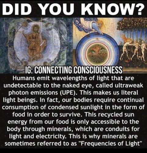 ,         418235313_73391130547