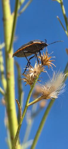 FB_IMG_1761356118189