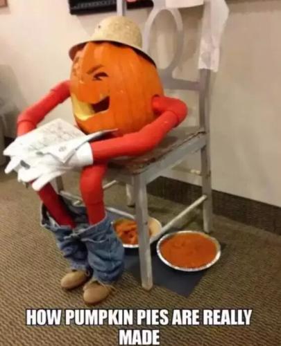 how-pumpikin-pies-are-made