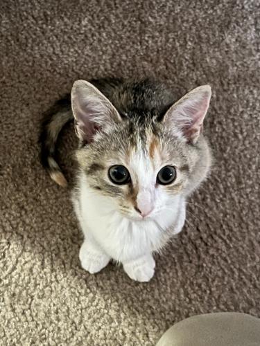 38D3963E-7210-4C5B-B13A-B89089162479