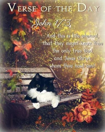 FB_IMG_1602114004348