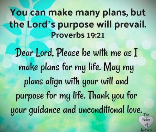 101025 - Many plans; Prov 19-21