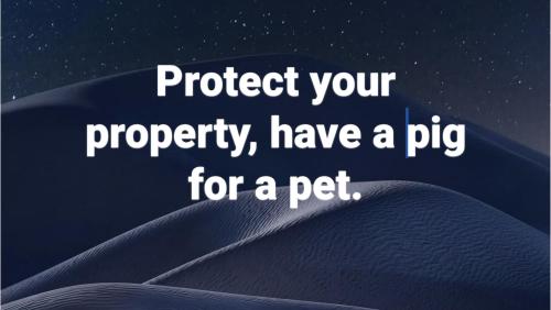 Screenshot_20251009_103246_Facebook