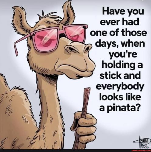 d968a24068ffa6ad4345ab7d12f7074cd68c748e3b5ceb2f219aeb3cdb6fbf08_1